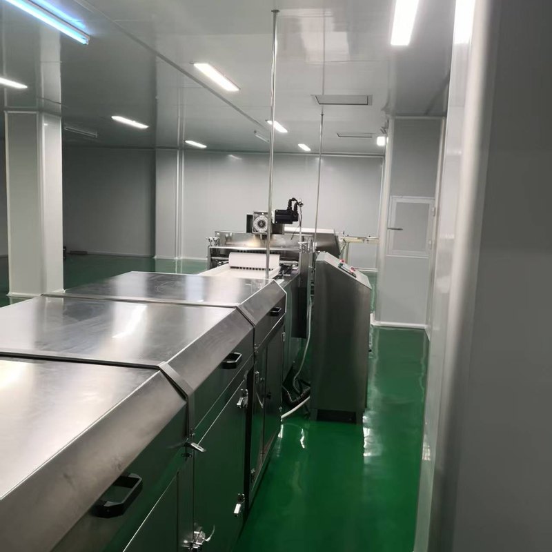 同类车间示意:烘焙设备与输送线